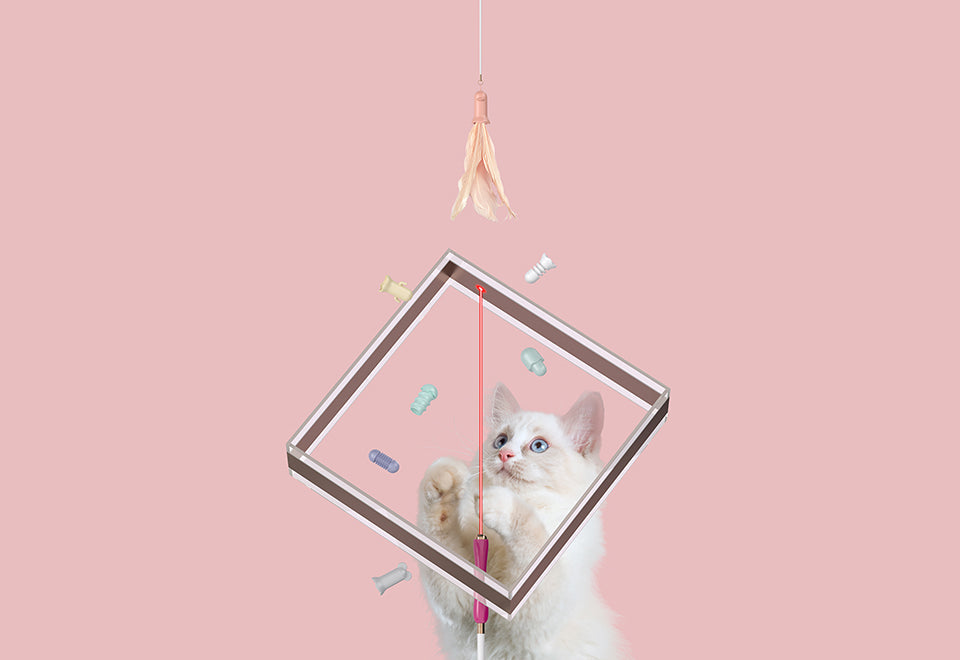 10-in-1 Extendable Cat Laser and Teaser