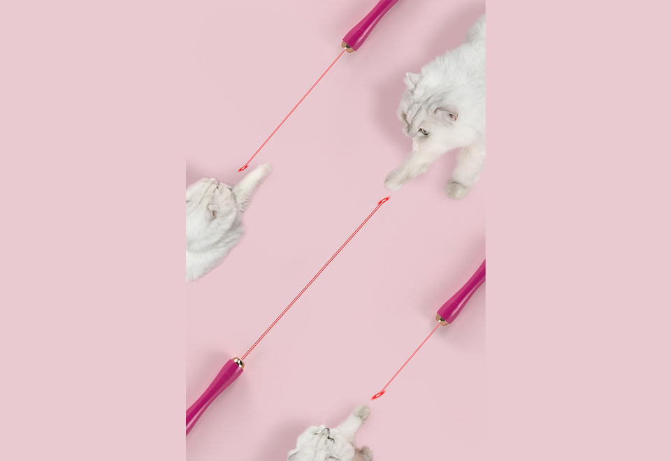 10-in-1 Extendable Cat Laser and Teaser - image 4
