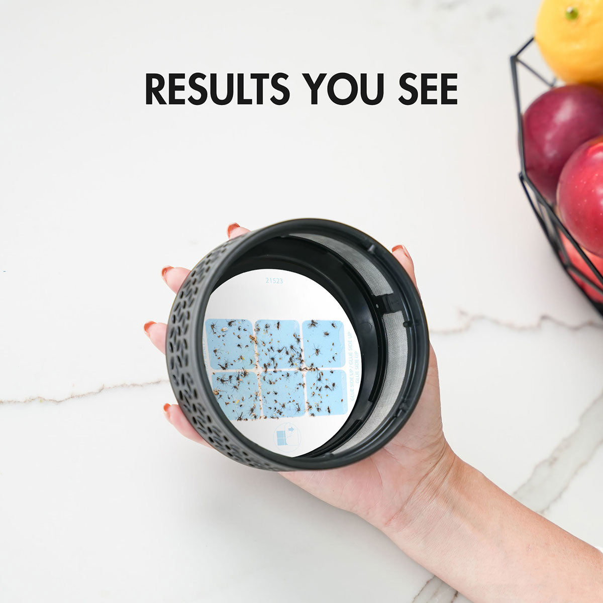 LED Indoor Fruit Fly Trap - image 7