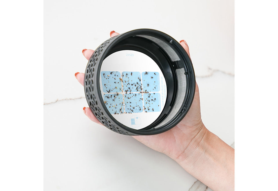 Replacement Glue for LED Indoor Fruit Fly Trap - image 3