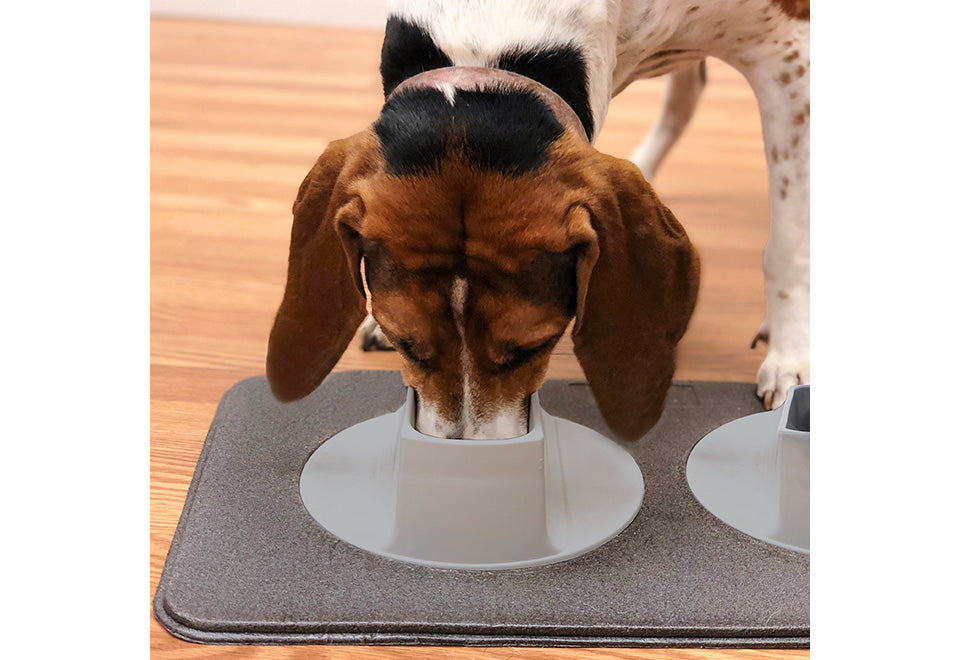 Ear-Clear Pet Feeding Station