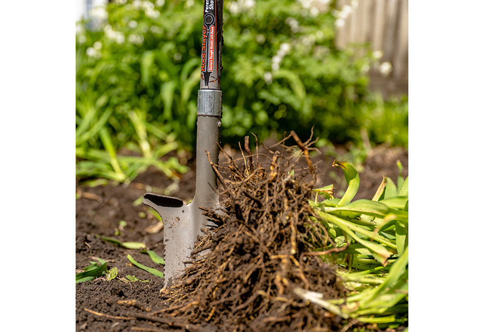 Root Slayer Perennial Shovel