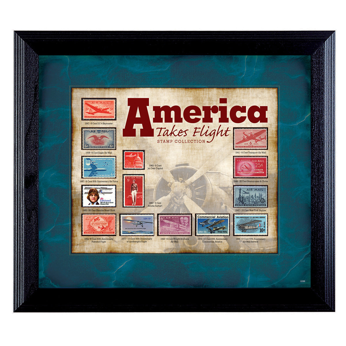 America Takes Flight Stamp Collection Frame