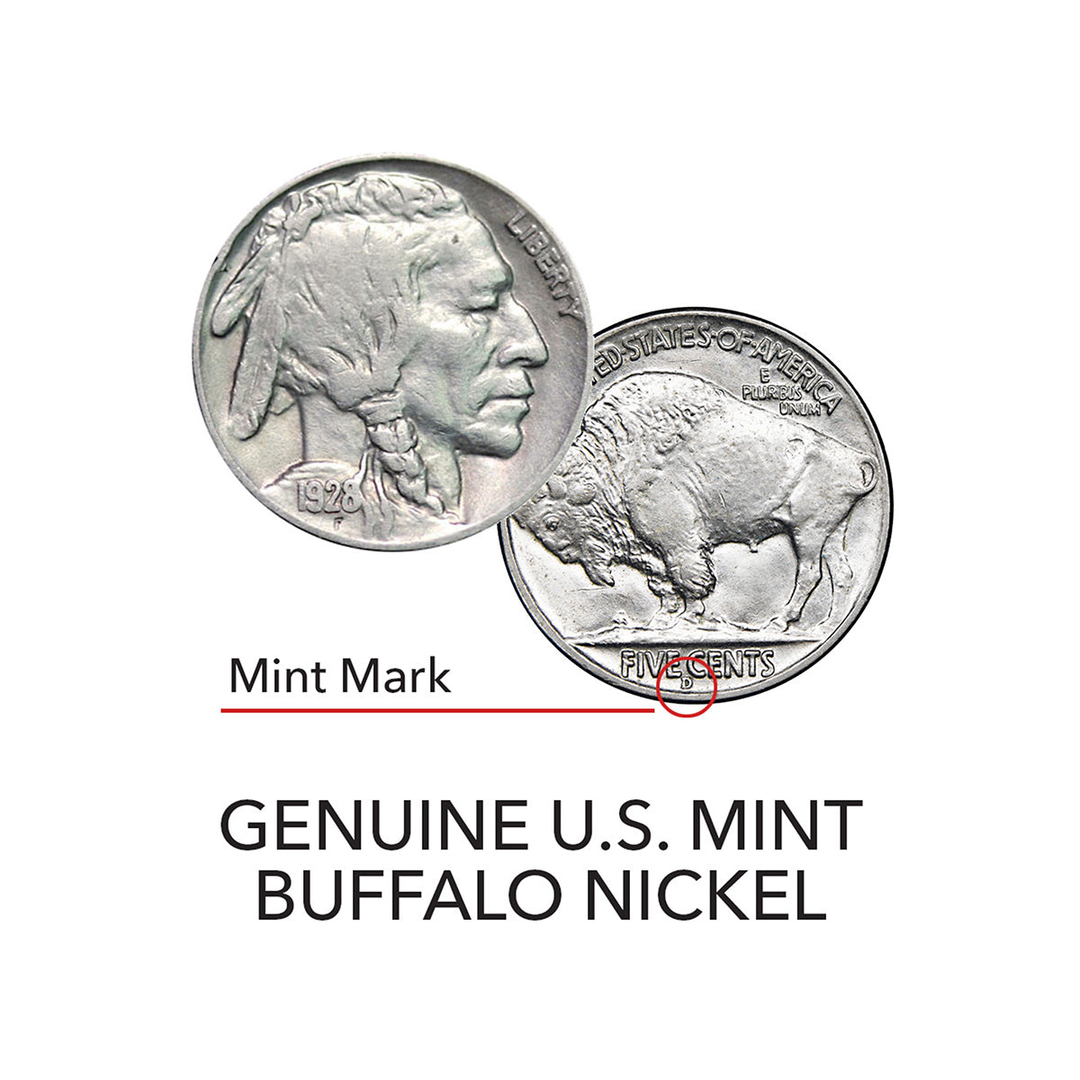 Legend of the Buffalo Nickel - image 4