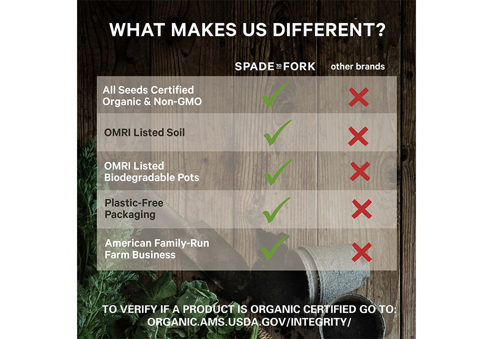 Organic Home Garden Seed Kits - image 3