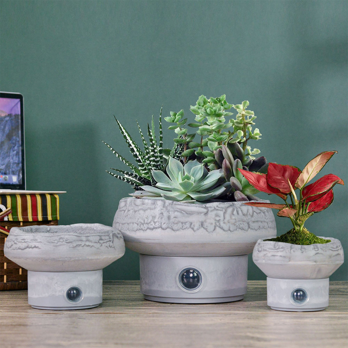 Self-Watering Rock Garden Pot System for Indoor Plants (Set of 3)