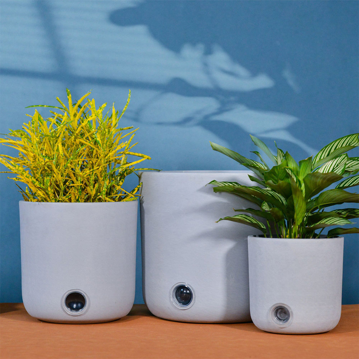 Self-Watering Tall Cylinder Pot System for Indoor Plants (Set of 3)