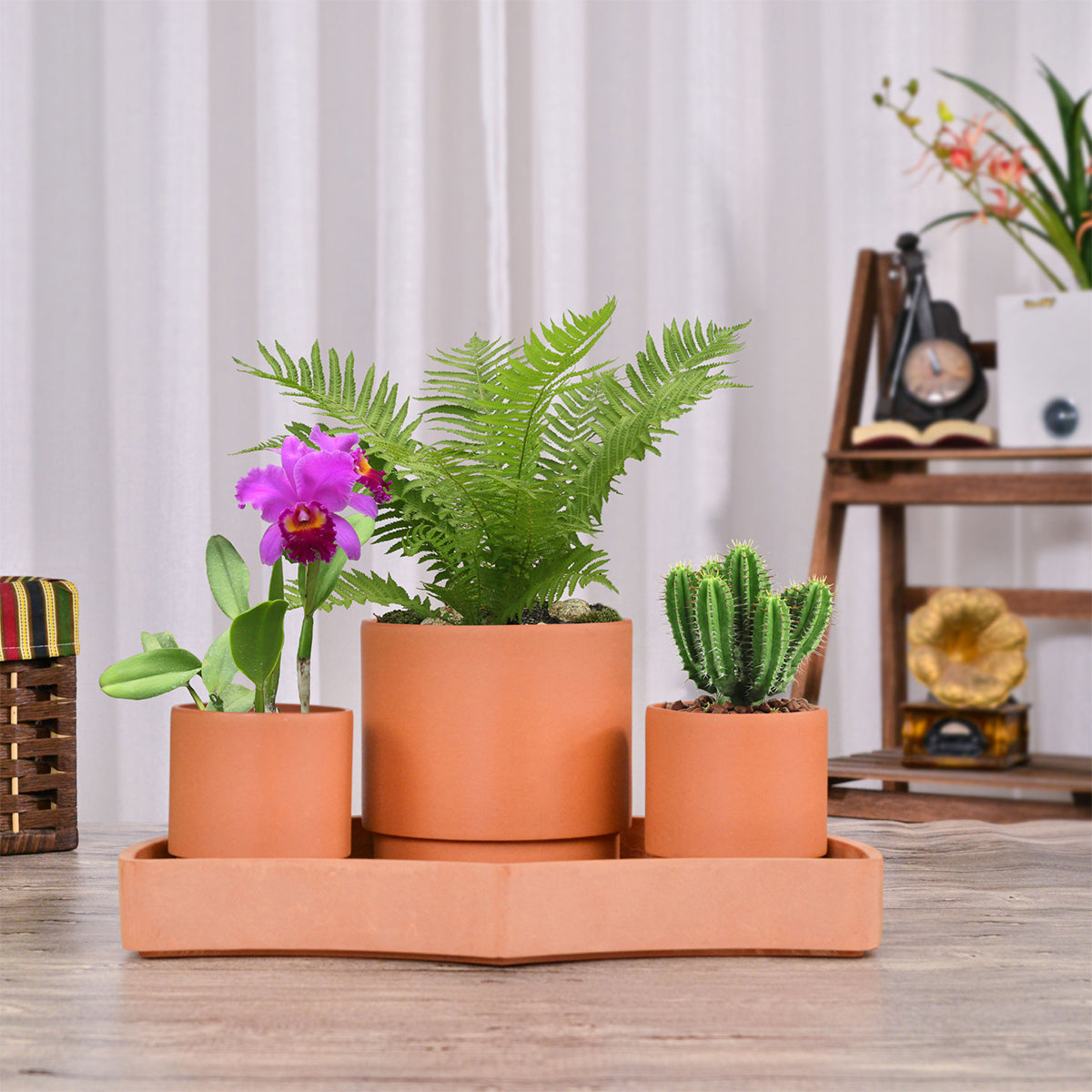 Tabletop Self-Watering Pot System for Indoor Plants (Set of 3)