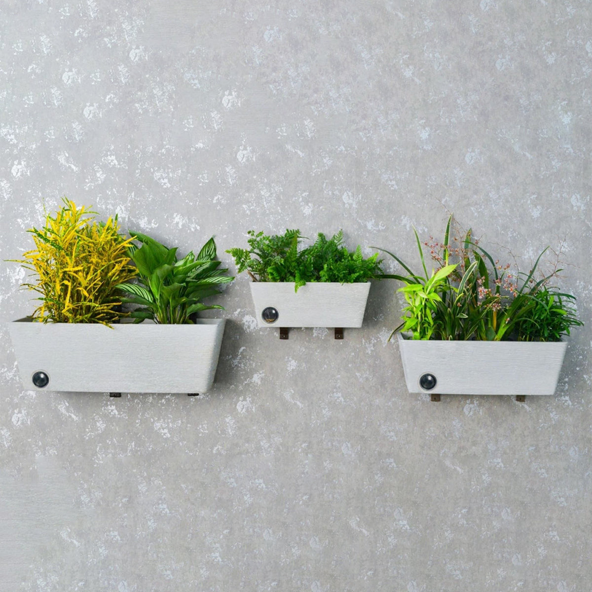 Wall Hanging Self-Watering Pot System for Indoor Plants (Set of 3)