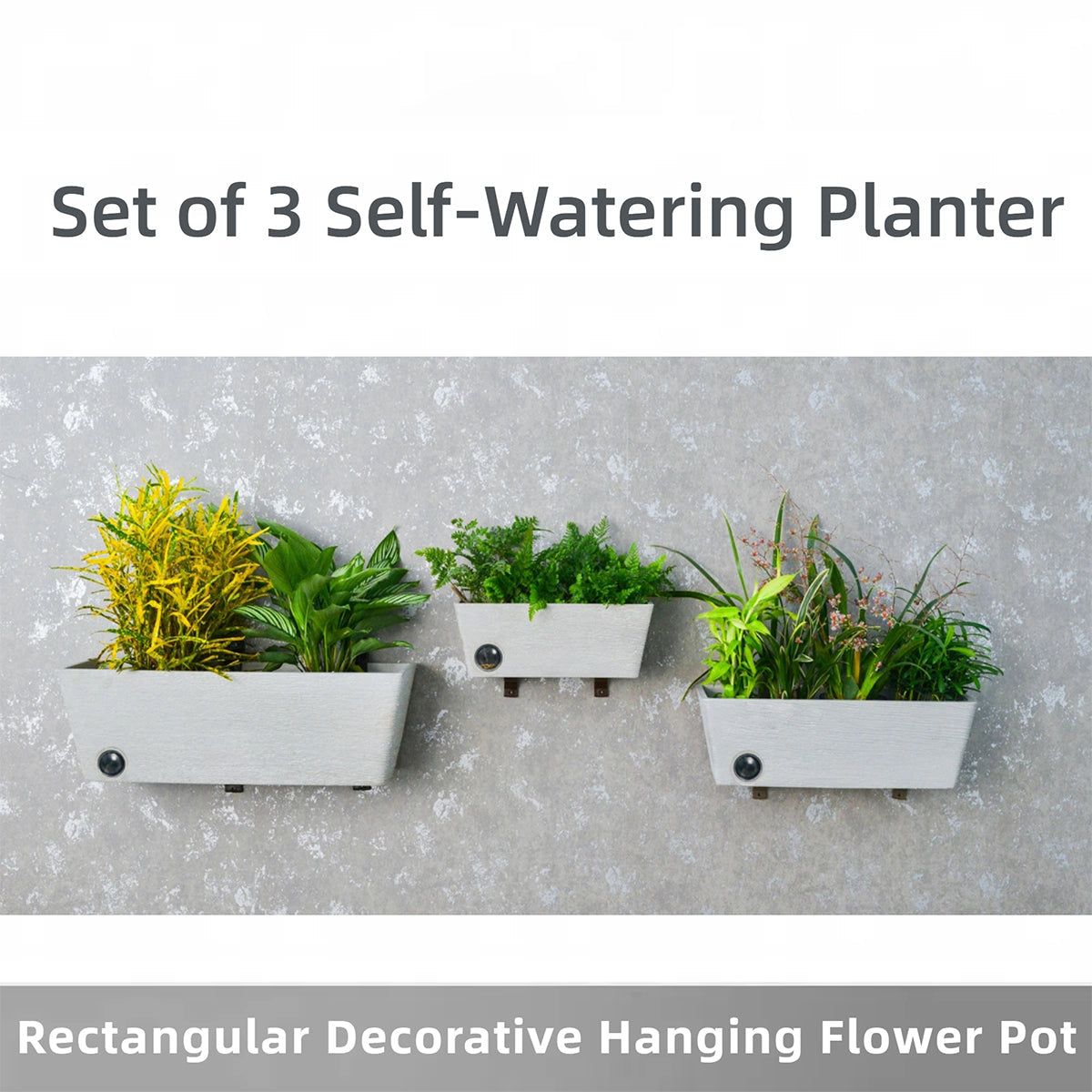 Wall Hanging Self-Watering Pot System for Indoor Plants (Set of 3) - image 4