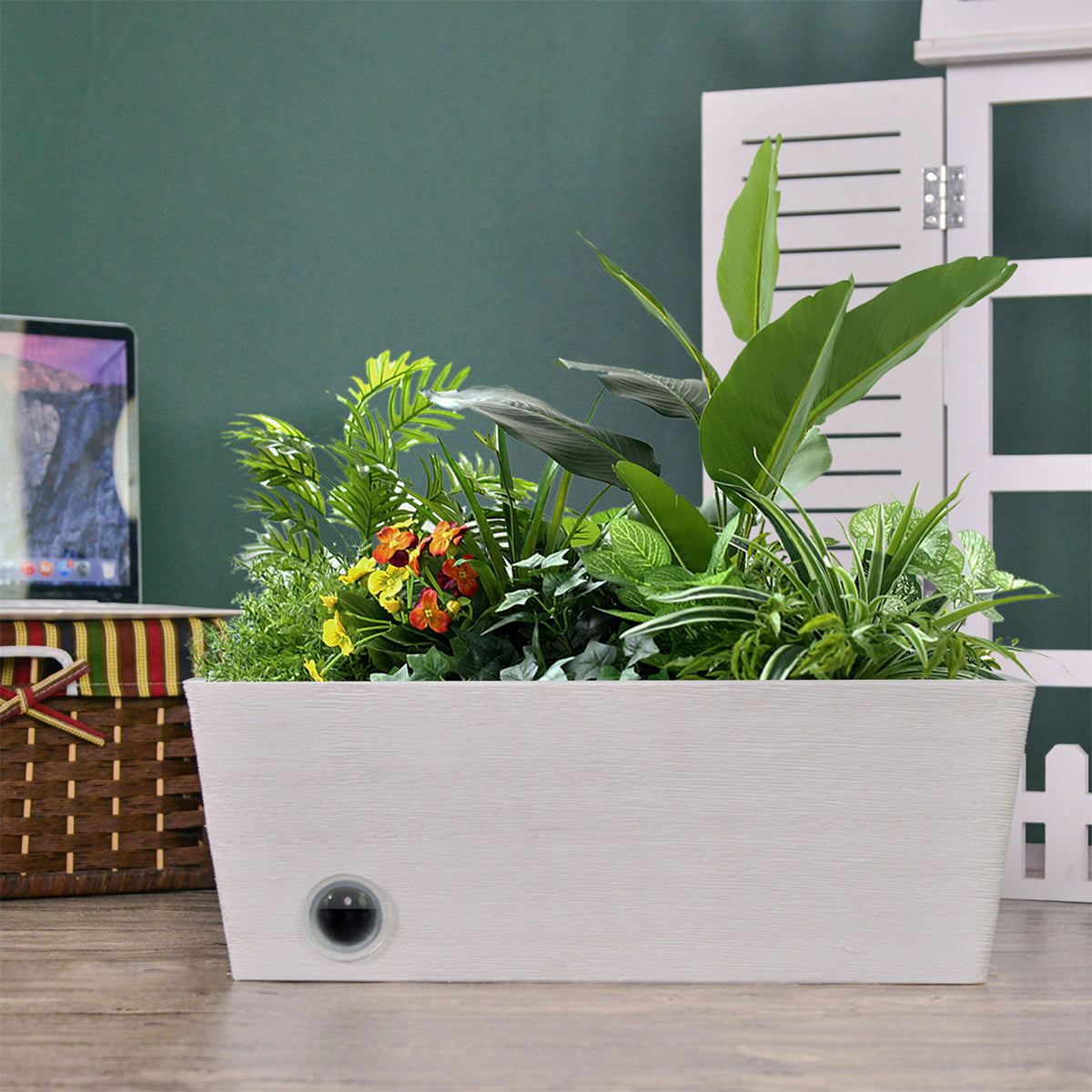 Wall Hanging Self-Watering Pot System for Indoor Plants (Set of 3) - image 8