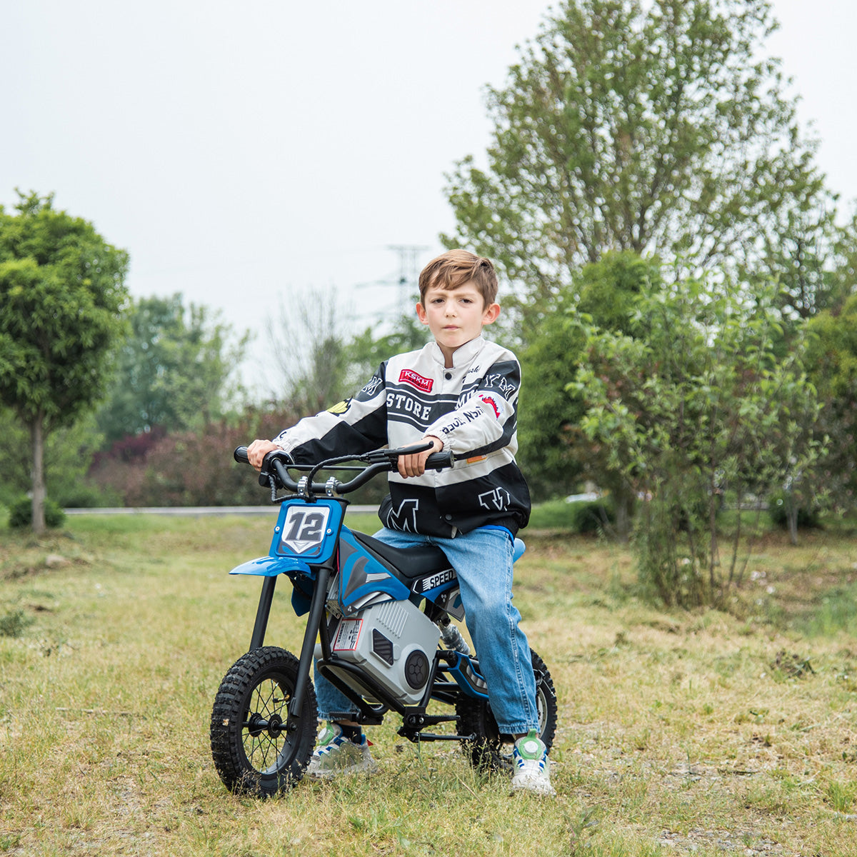 36V E-Dirt Bike with Brushless Motor - image 7