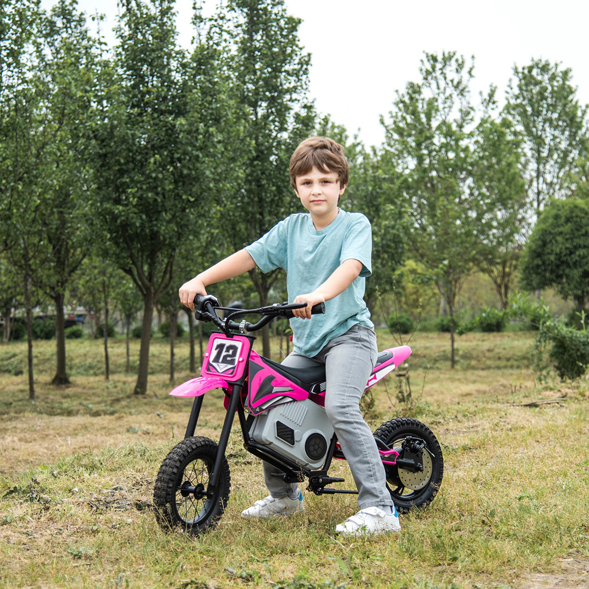 36V E-Dirt Bike with Brushless Motor - image 22