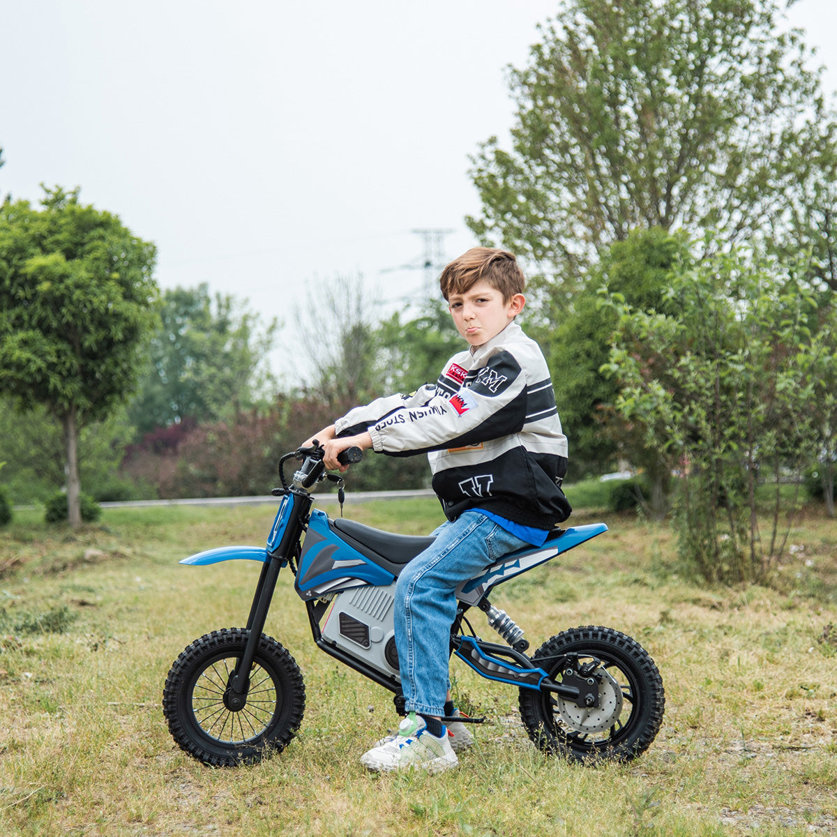 36V E-Dirt Bike with Brushless Motor - image 6