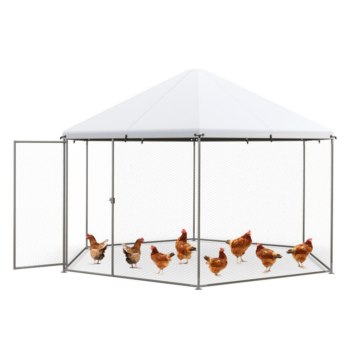 13' Wire Mesh Hexagonal Chicken Coop - image 2