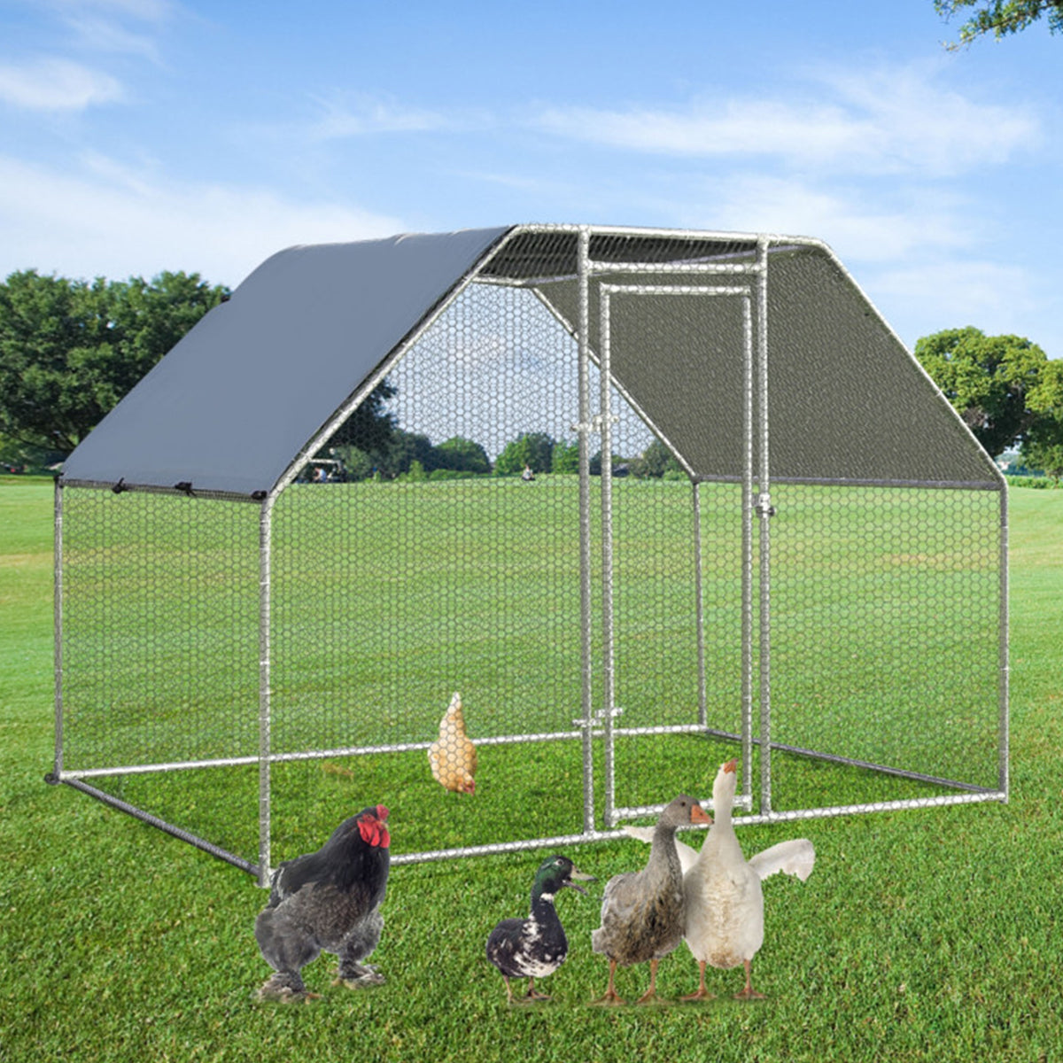 Large Walk In Chicken Run Cage - image 7