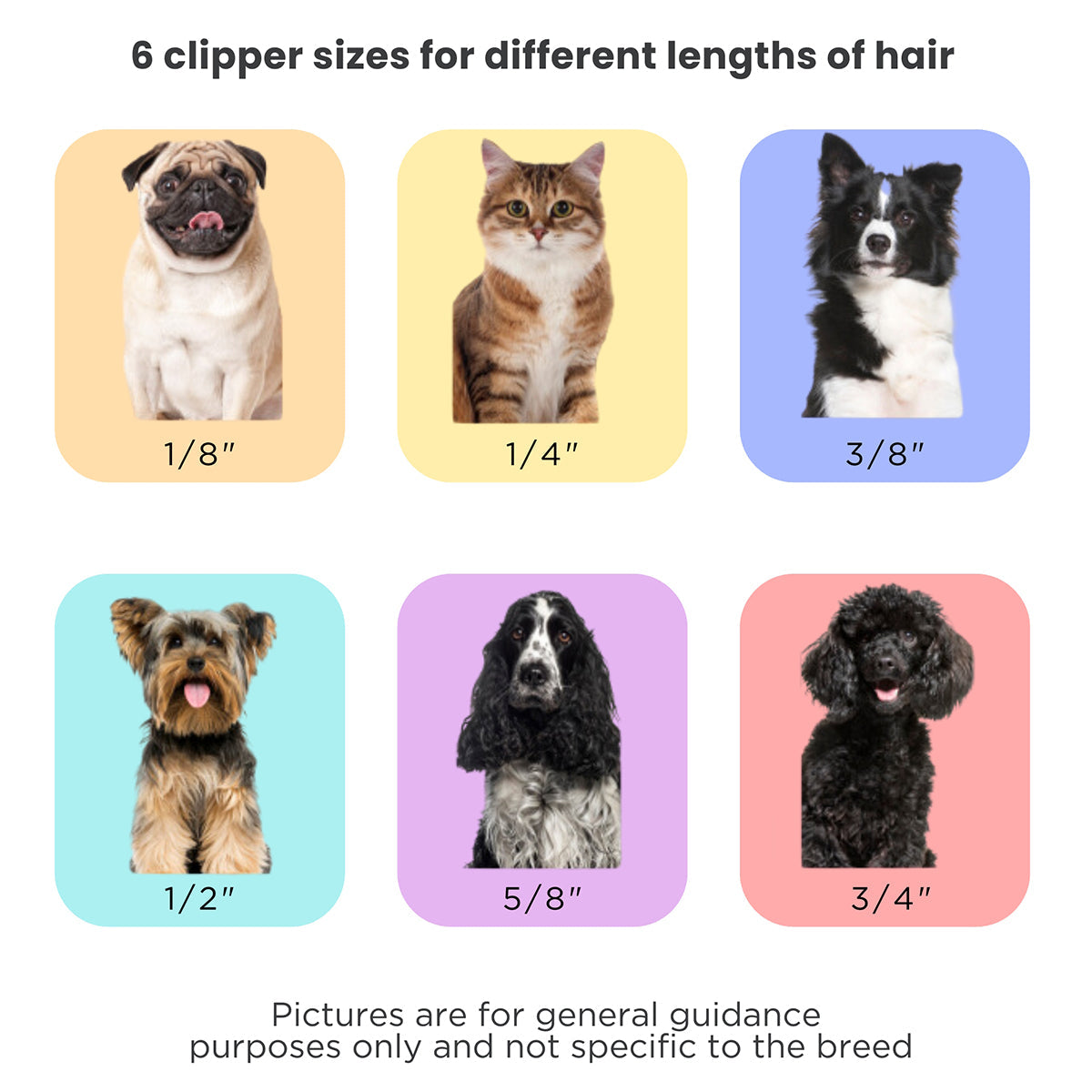 Mess-Free Pet Grooming Kit - image 3