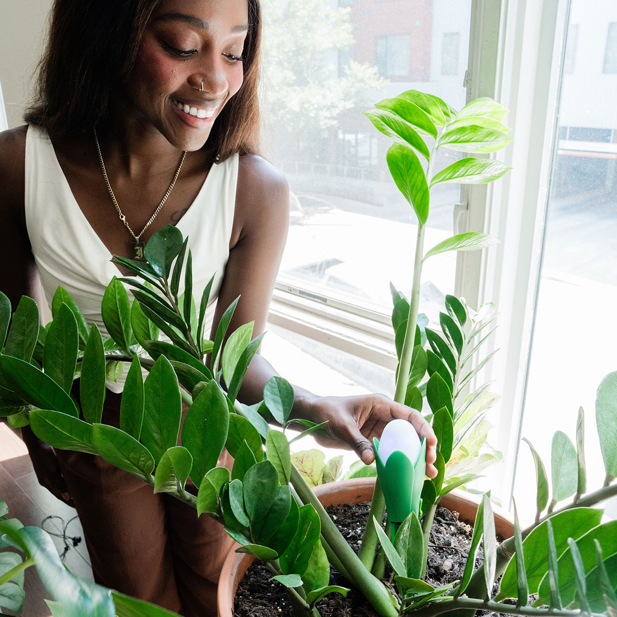 Flora Pod™ Smart Plant Monitor - image 4