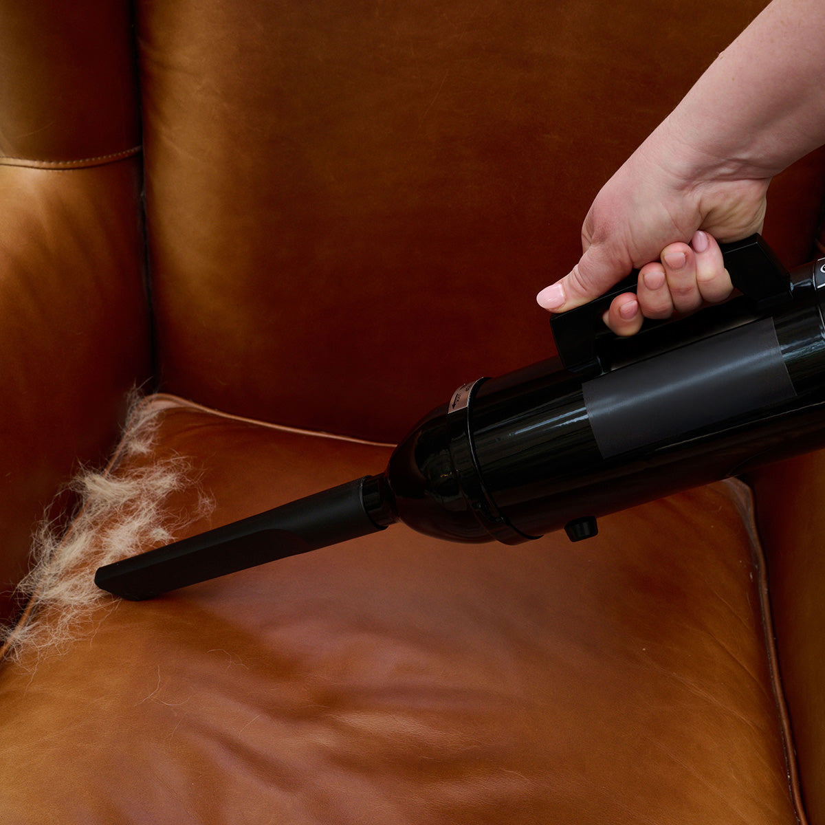 Professional Cordless Utility Vacuum - image 5