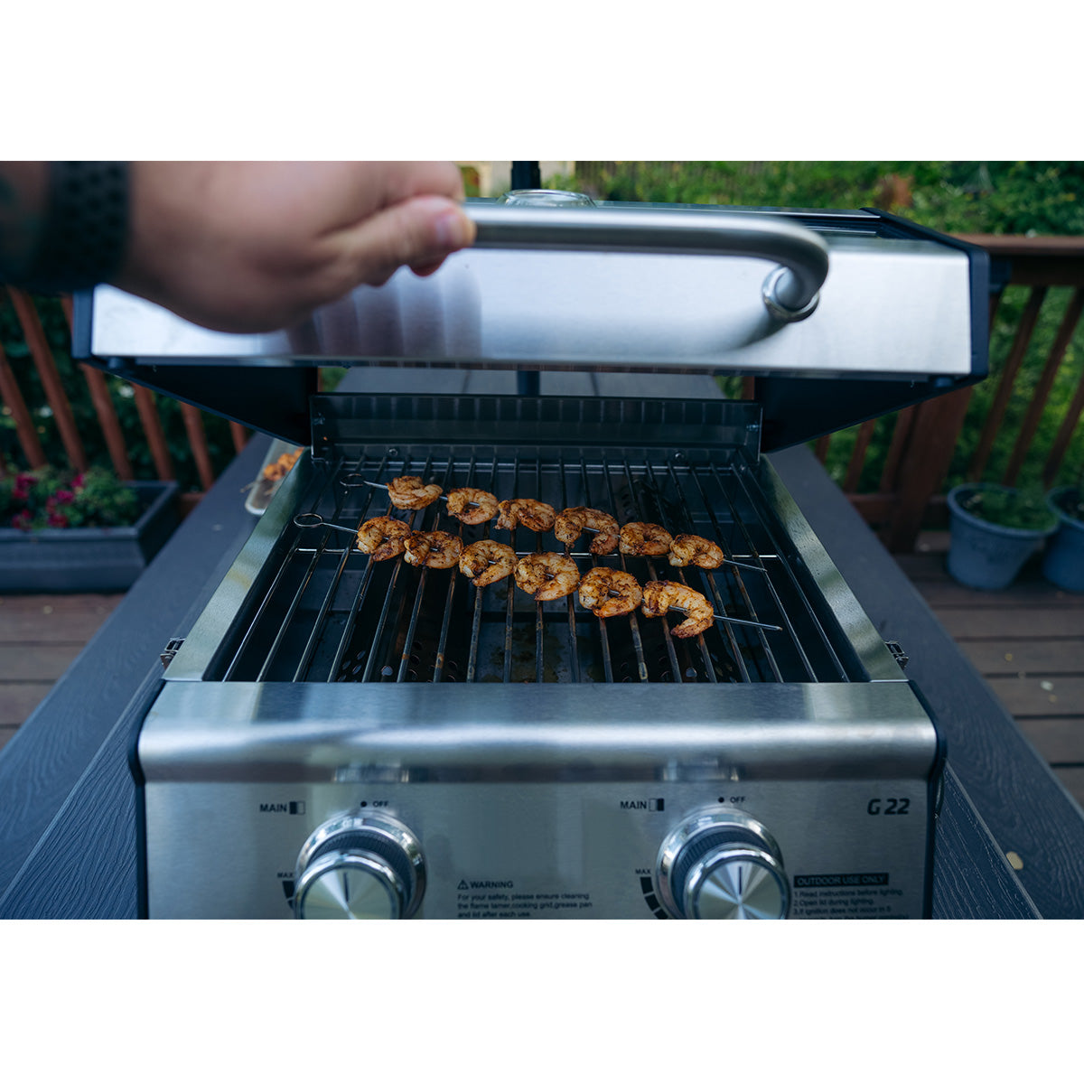 Tabletop Propane Gas Grill - image 17