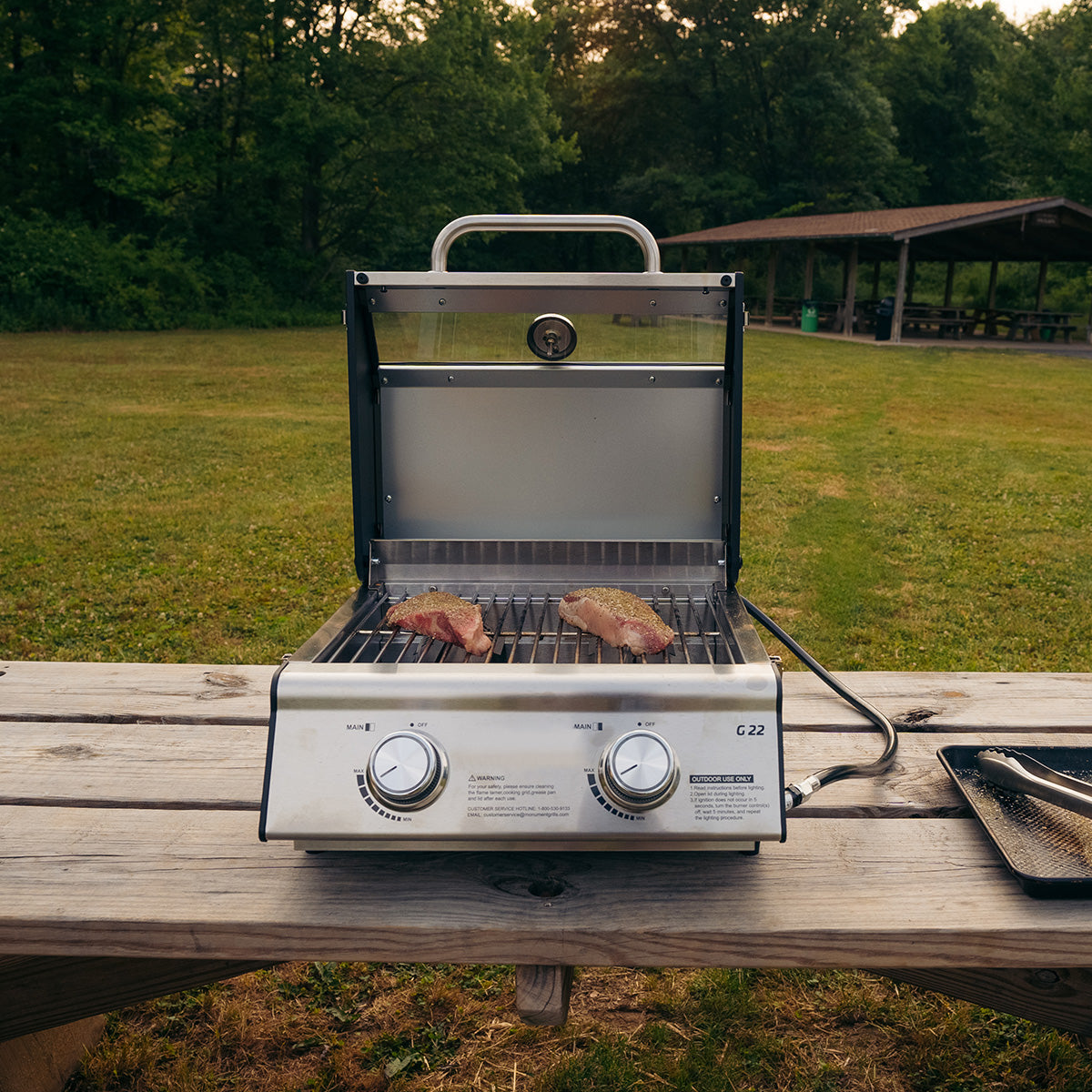 Tabletop Propane Gas Grill - image 21