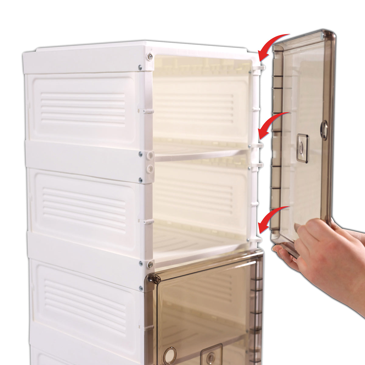 Collapsible Multi-Use Storage Shelf - image 4