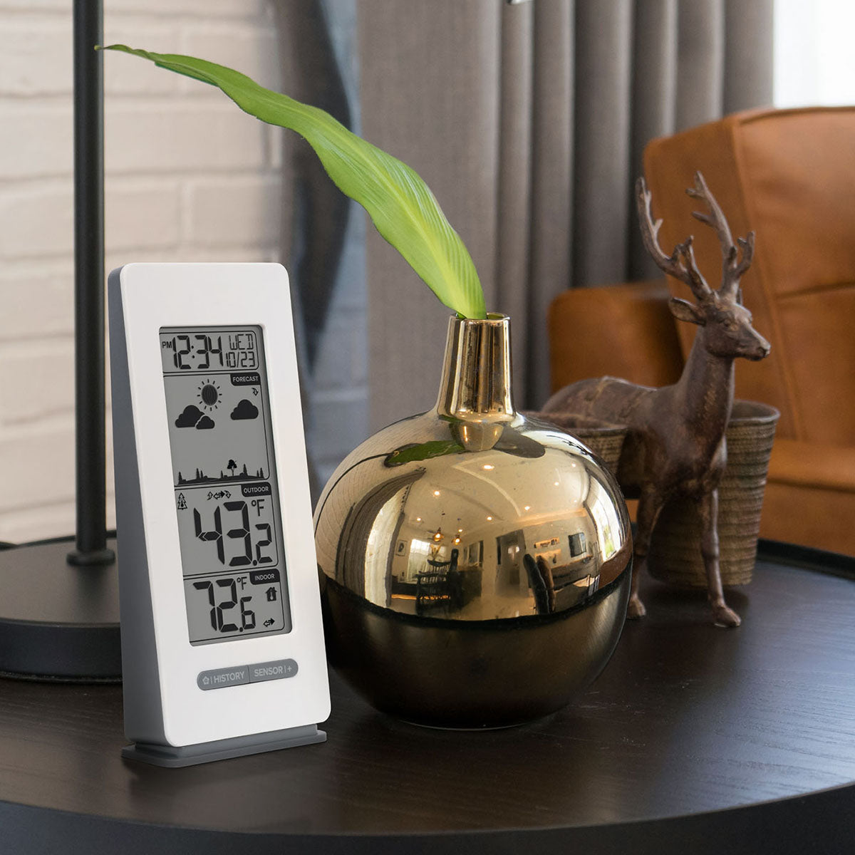 Wireless Forecast Station