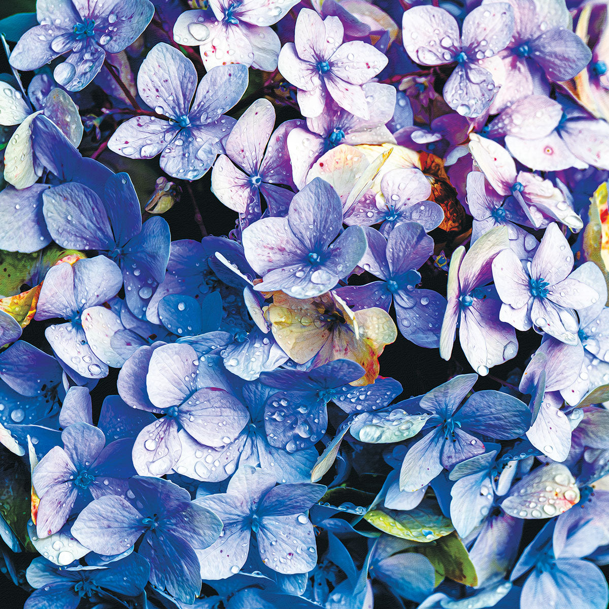 Floral Puzzles - image 5