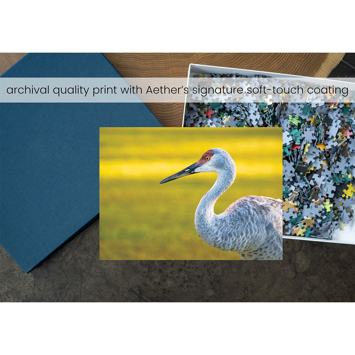 Sandhill Crane Nature Puzzle - image 2