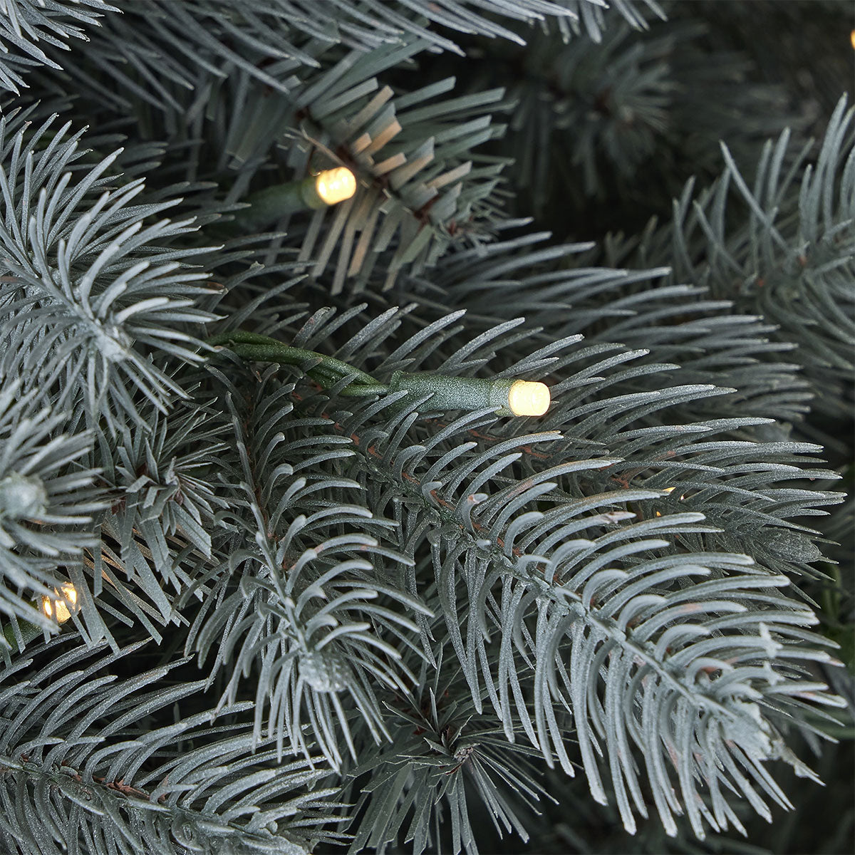 7.5' Blue Spruce Christmas Tree - image 5