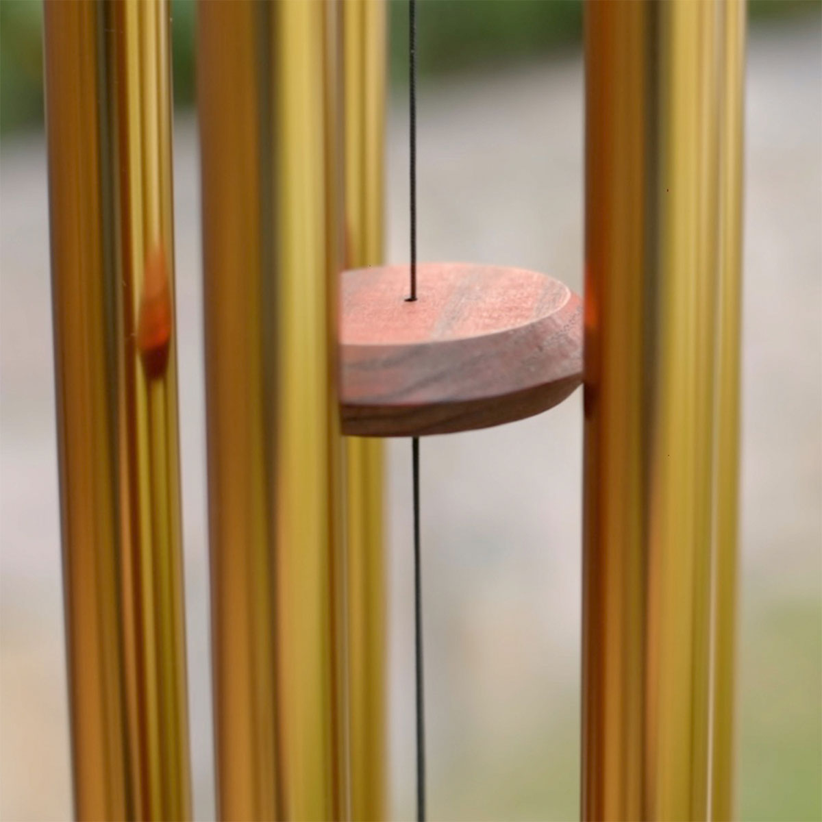 Chimes of Venus - image 3