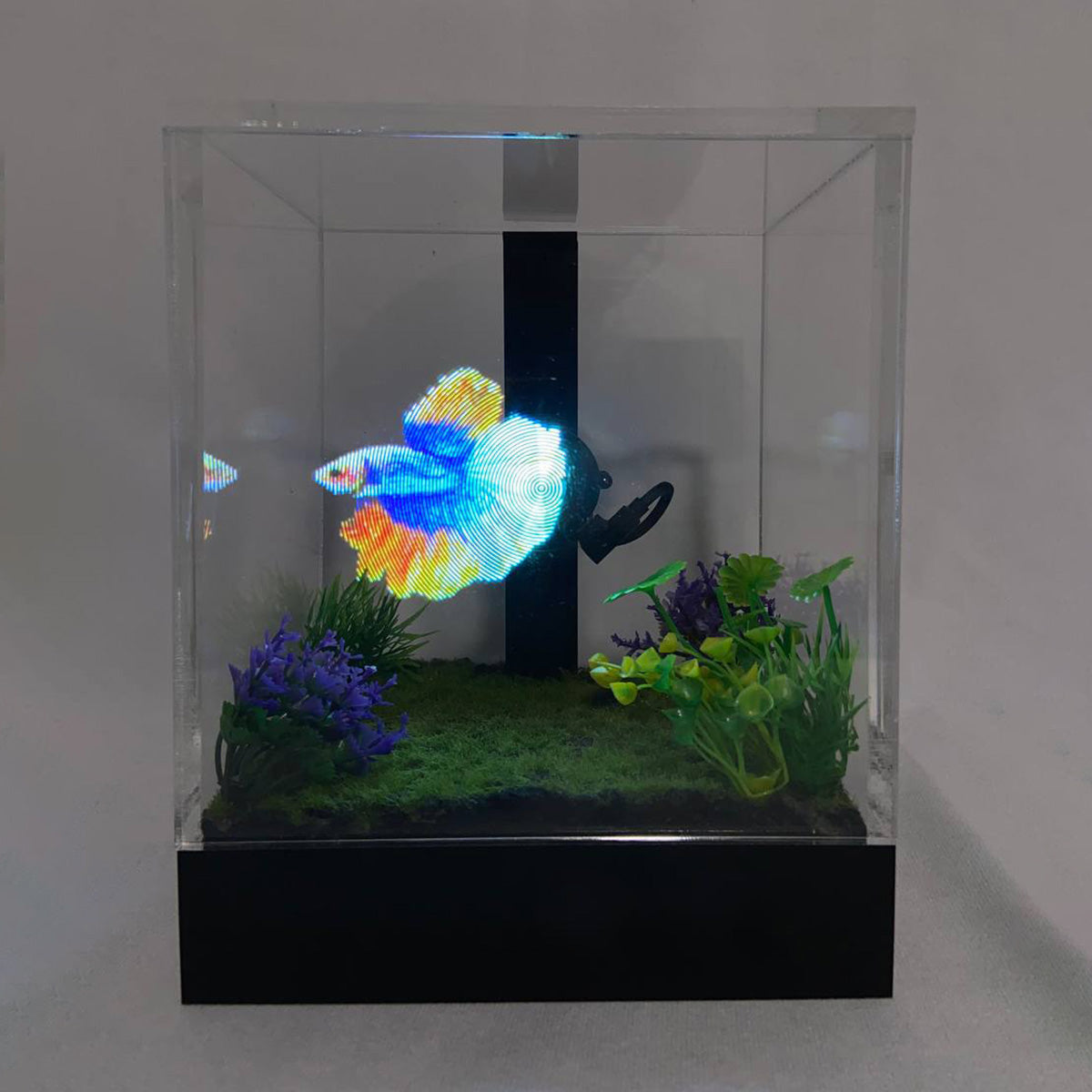 3D Holographic Aquarium - image 11