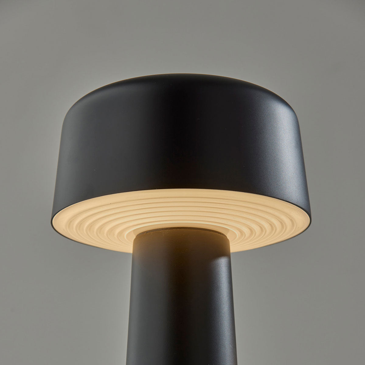 Cordless Indoor/Outdoor LED Diffused Light  Table Lamp - image 6