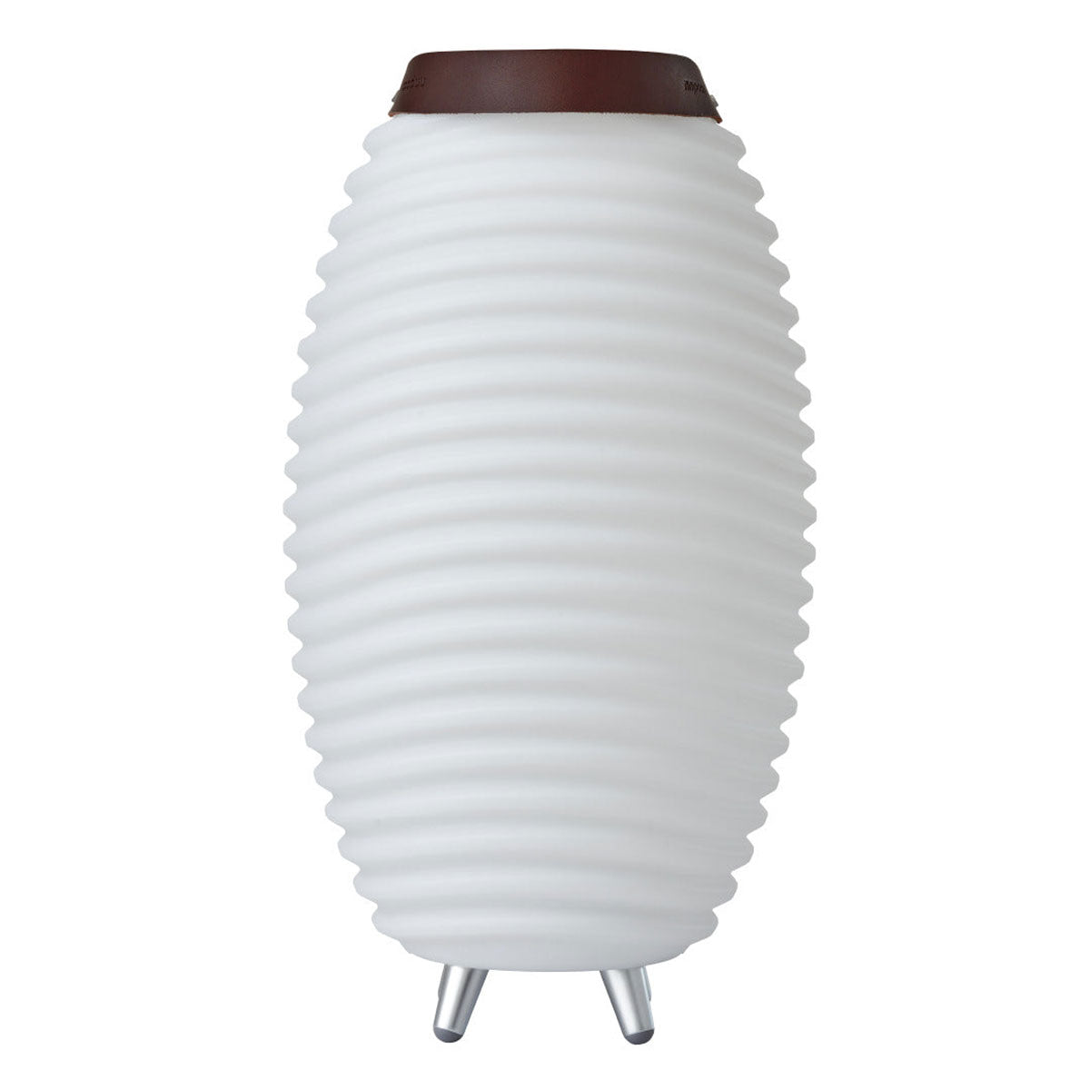 Multi-Function Indoor/Outdoor LED Party Light with Speaker & Cooler - image 4