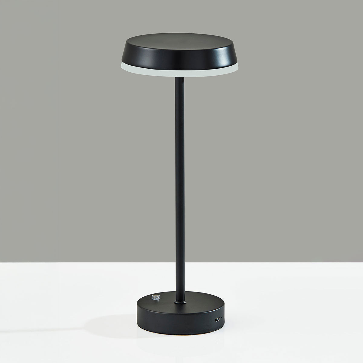 Metal Finish Indoor/Outdoor Cordless LED Table Lamp - image 8