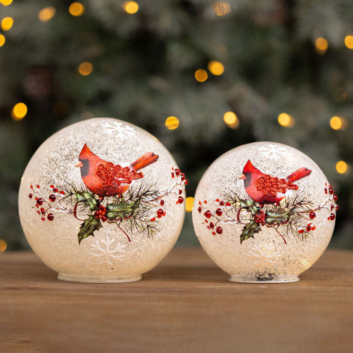 LED Cardinal and Holly Globes (Set of 2)