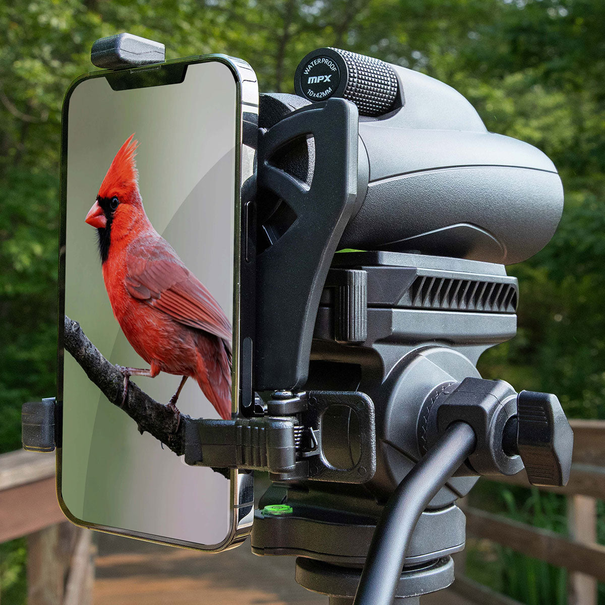 Monocular with Smartphone Adapter - image 3