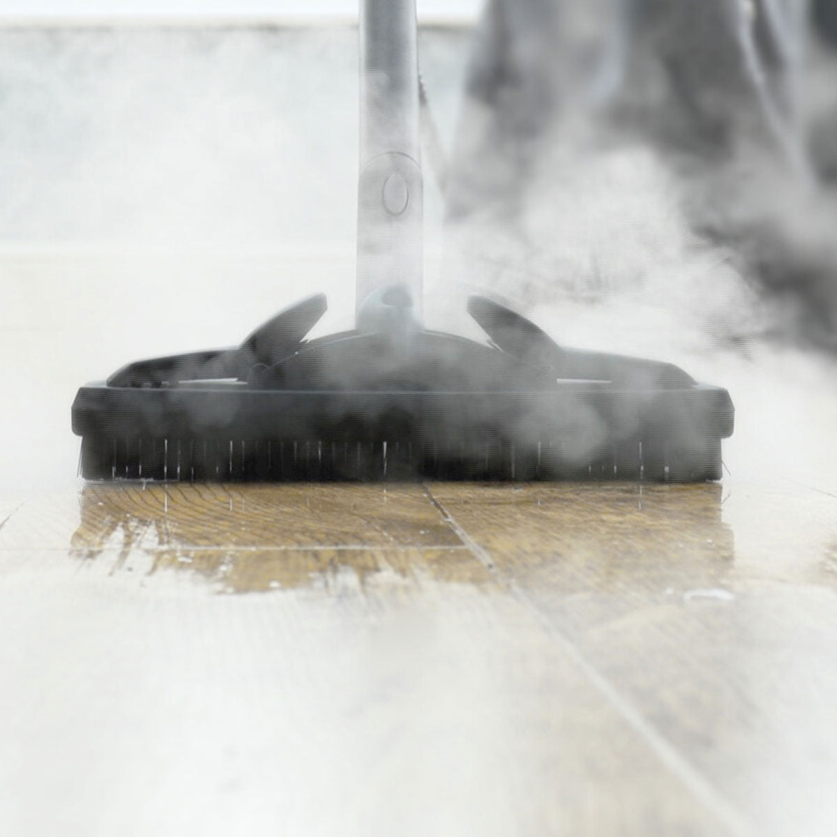 Multi Function Steam Cleaner - image 4