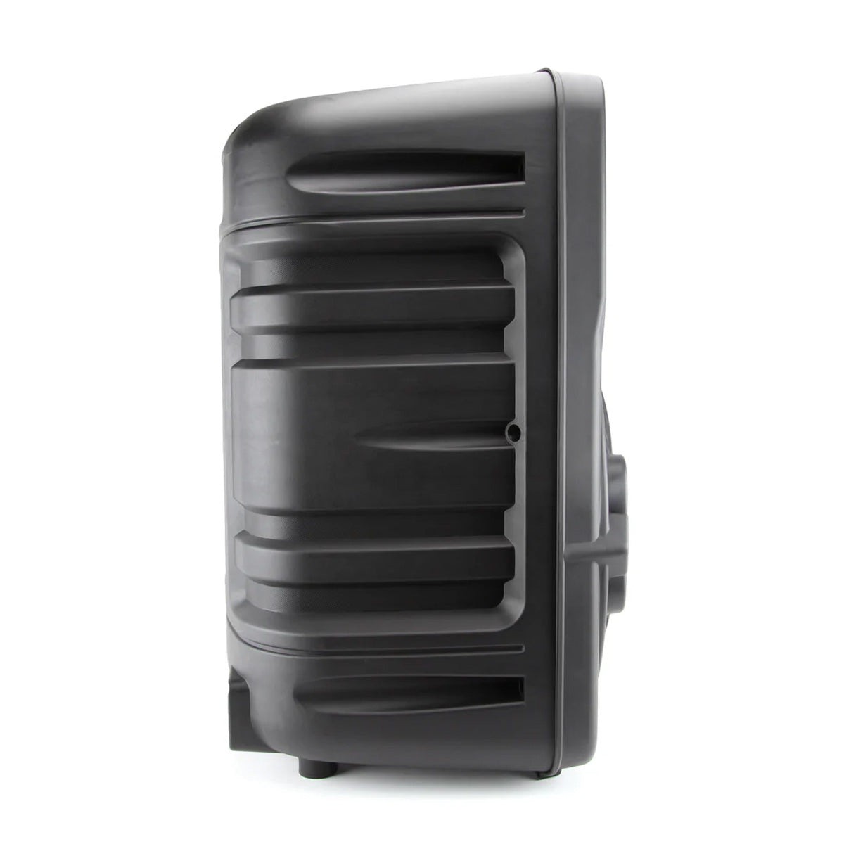 12'' Portable Party Speaker - image 20