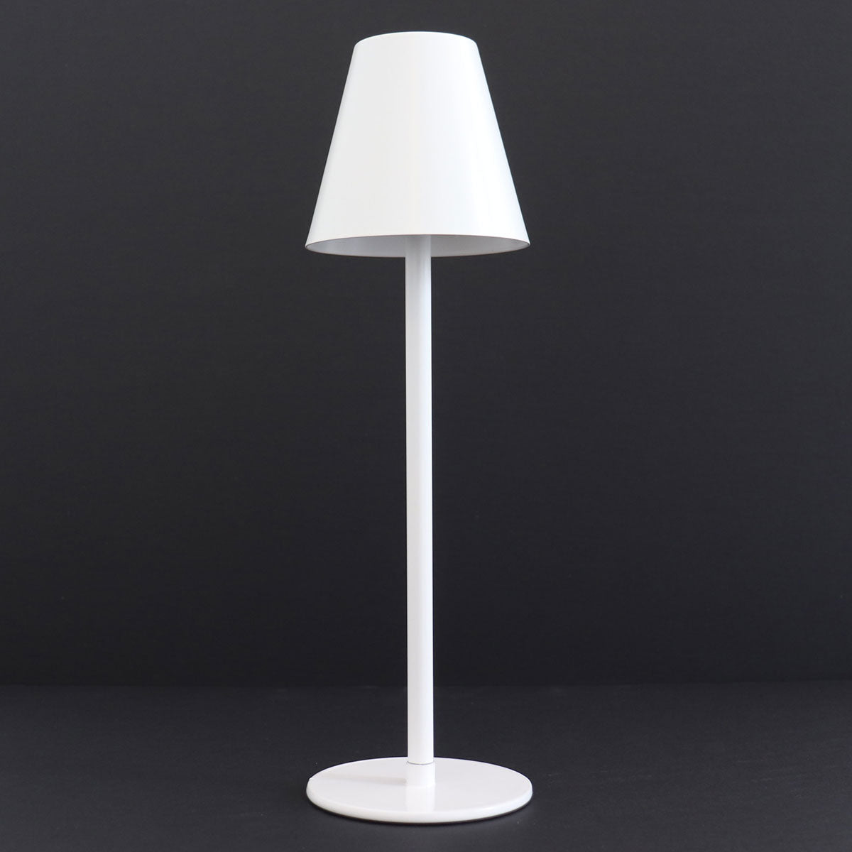 4-in-1 Indoor/Outdoor Bug Deterrent Lamp - image 30
