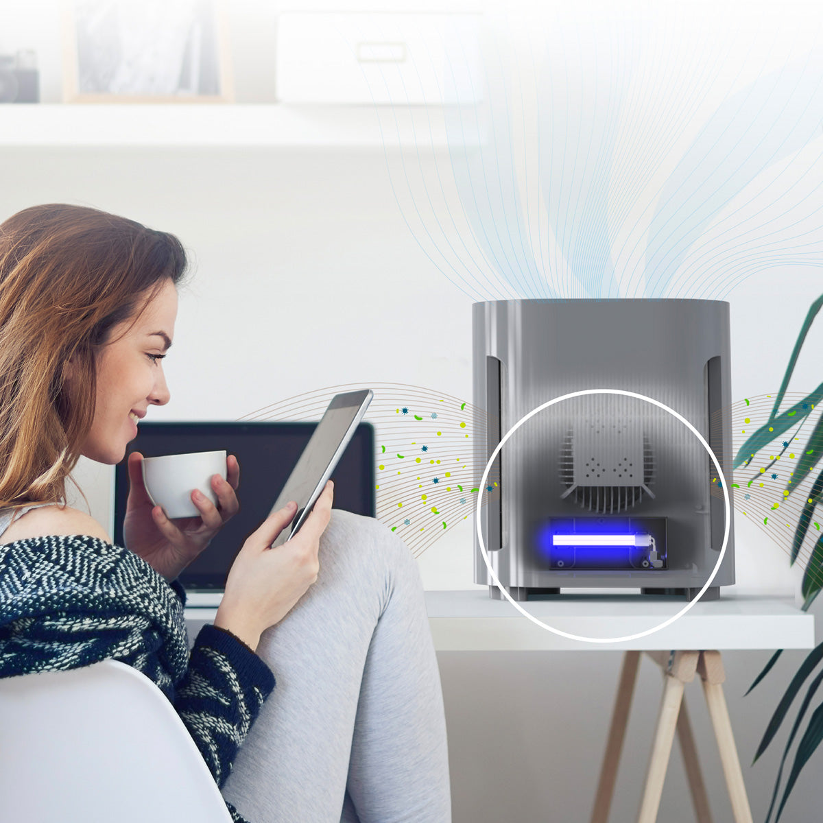 Compact HEPA UV-C Air Purifier - image 7