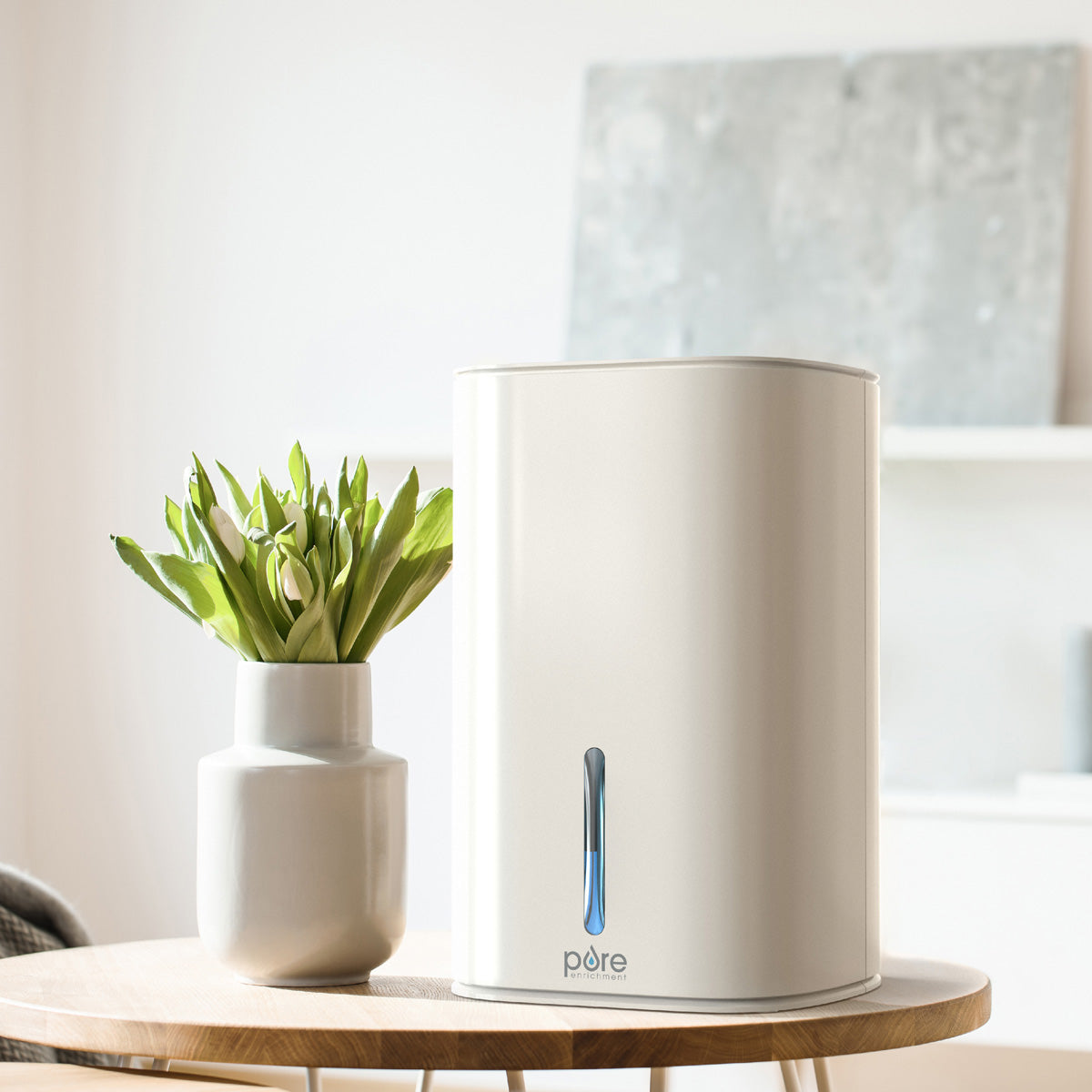 Small‑Space Dehumidifier